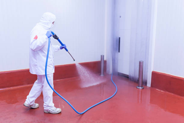 Best Pre-Holiday Cleaning  in Greenacres, FL