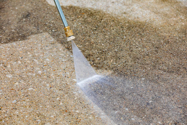 Best Gutter Cleaning  in Greenacres, FL